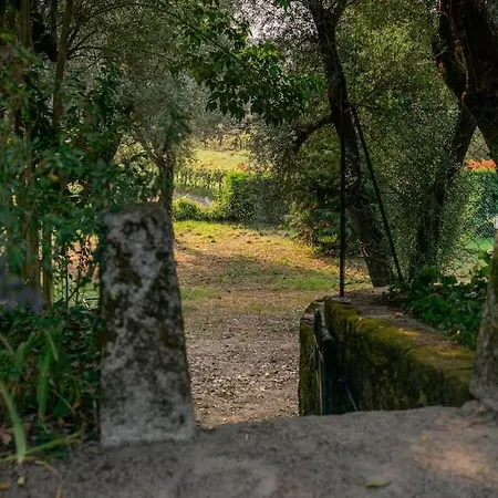 Casa Do Olival, Ponte De Lima Seara